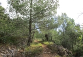 Terreno no urbanizable en venta en Tortosa ref: TR34701 foto