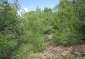 Terreno no urbanizable en venta en Tortosa ref: TR34701 foto