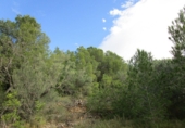 Terreno no urbanizable en venta en Tortosa ref: TR34701 foto