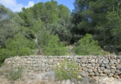 Terreno no urbanizable en venta en Tortosa ref: TR34701 foto