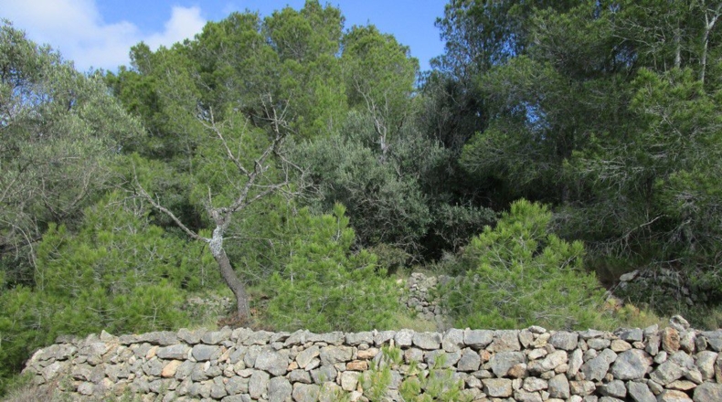 Tarragona - Tortosa - 19625m2
