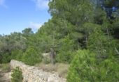 Terreno no urbanizable en venta en Tortosa ref: TR34701 foto