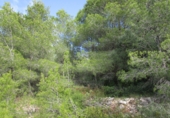 Terreno no urbanizable en venta en Tortosa ref: TR34701 foto