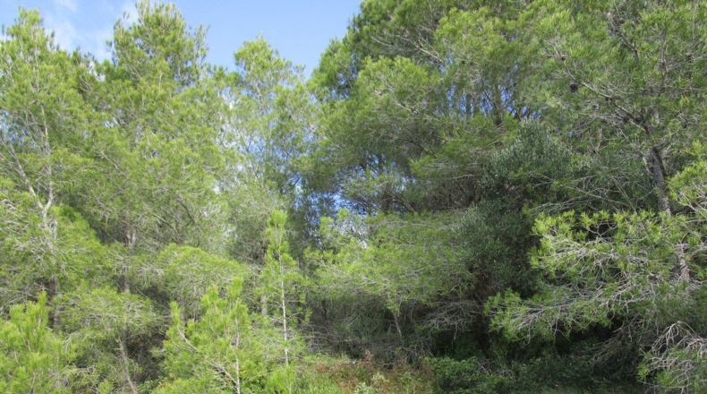 Tarragona - Tortosa - 19625m2