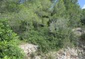 Terreno no urbanizable en venta en Tortosa ref: TR34701 foto