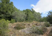 Terreno no urbanizable en venta en Tortosa ref: TR34701 foto