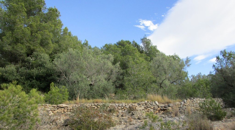 Tarragona - Tortosa - 19625m2