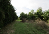 Finca rústica en venta en Roquetes ref: TR72978 foto