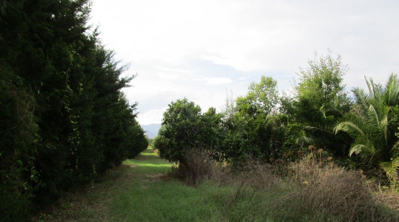 Tarragona - Raval de Crist - 29000m2