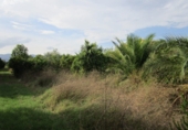 Finca rústica en venta en Roquetes ref: TR72978 foto