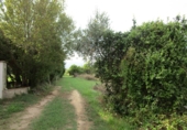 Finca rústica en venta en Roquetes ref: TR72978 foto