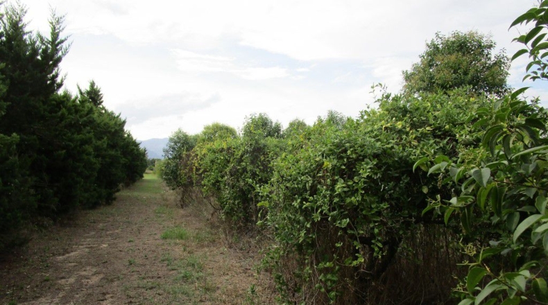 Tarragona - Raval de Crist - 29000m2