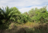Finca rústica en venta en Roquetes ref: TR72978 foto