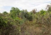 Finca rústica en venta en Roquetes ref: TR72978 foto