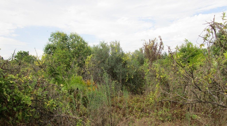 Tarragona - Raval de Crist - 29000m2