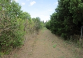 Finca rústica en venta en Roquetes ref: TR72978 foto