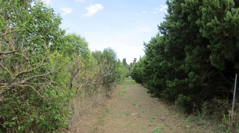 Tarragona - Raval de Crist - 29000m2