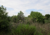 Finca rústica en venta en Roquetes ref: TR72978 foto