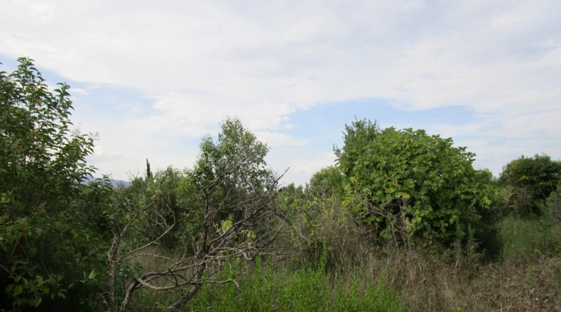Tarragona - Raval de Crist - 29000m2