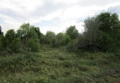 Finca rústica en venta en Roquetes ref: TR72978 foto