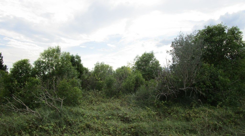 Tarragona - Raval de Crist - 29000m2