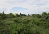 Finca rústica en venta en Roquetes ref: TR72978 foto