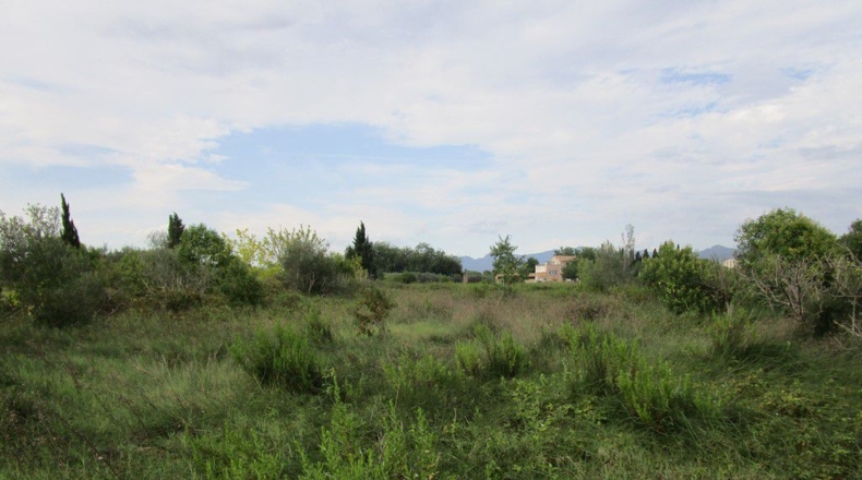 Tarragona - Raval de Crist - 29000m2