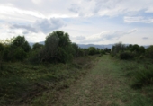 Finca rústica en venta en Roquetes ref: TR72978 foto