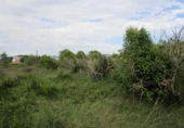 Finca rústica en venta en Roquetes ref: TR72978 foto