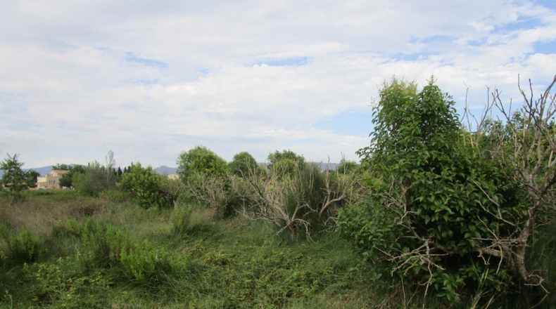 Tarragona - Raval de Crist - 29000m2