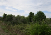 Finca rústica en venta en Roquetes ref: TR72978 foto