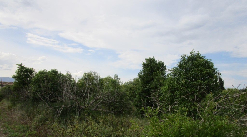 Tarragona - Raval de Crist - 29000m2