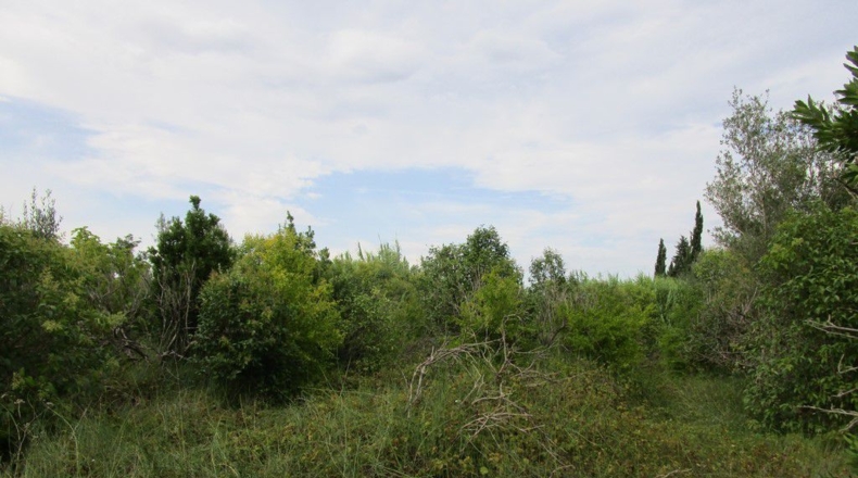 Tarragona - Raval de Crist - 29000m2