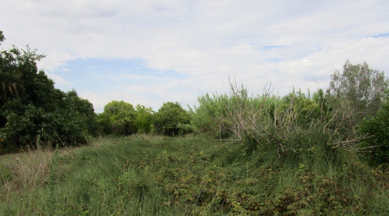 Tarragona - Raval de Crist - 29000m2