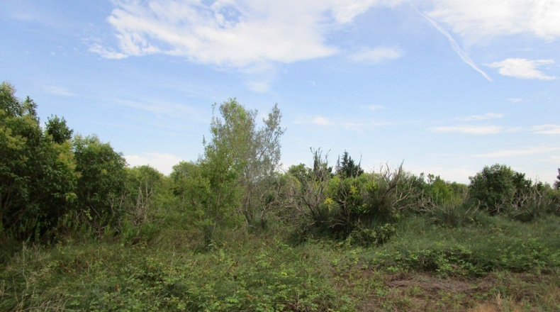 Tarragona - Raval de Crist - 29000m2