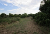 Finca rústica en venta en Roquetes ref: TR72978 foto