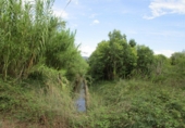 Finca rústica en venta en Roquetes ref: TR72978 foto