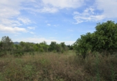 Finca rústica en venta en Roquetes ref: TR72978 foto