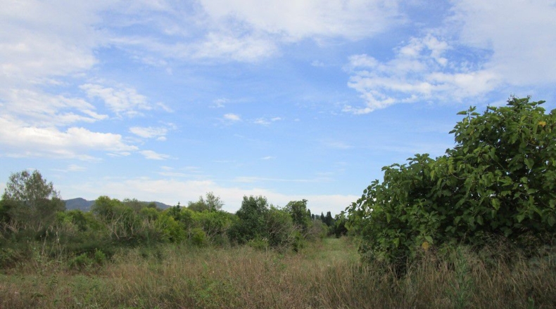 Tarragona - Raval de Crist - 29000m2