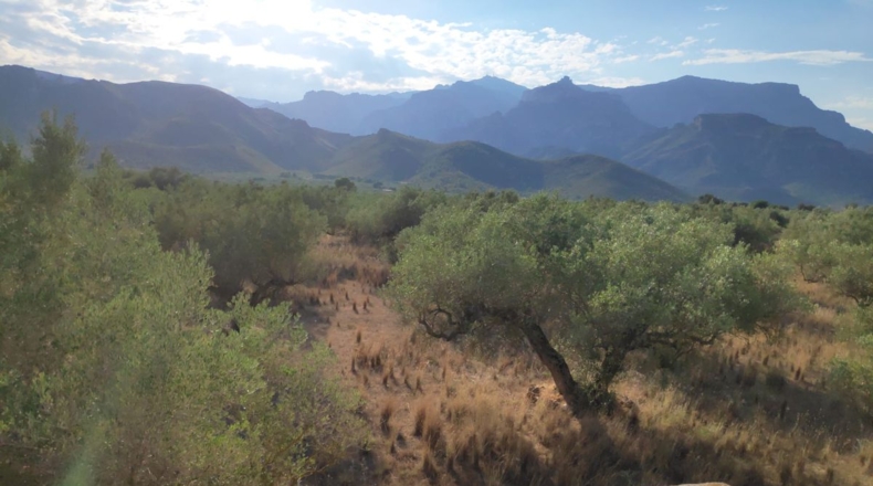 Tarragona - Roquetes - 29385m2