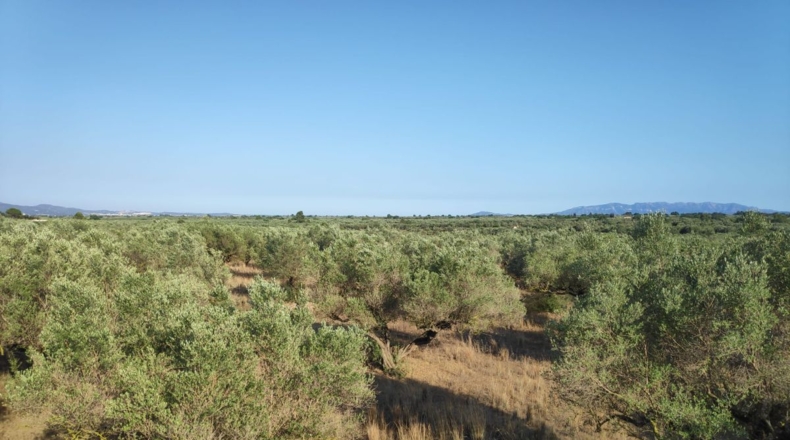Tarragona - Roquetes - 29385m2