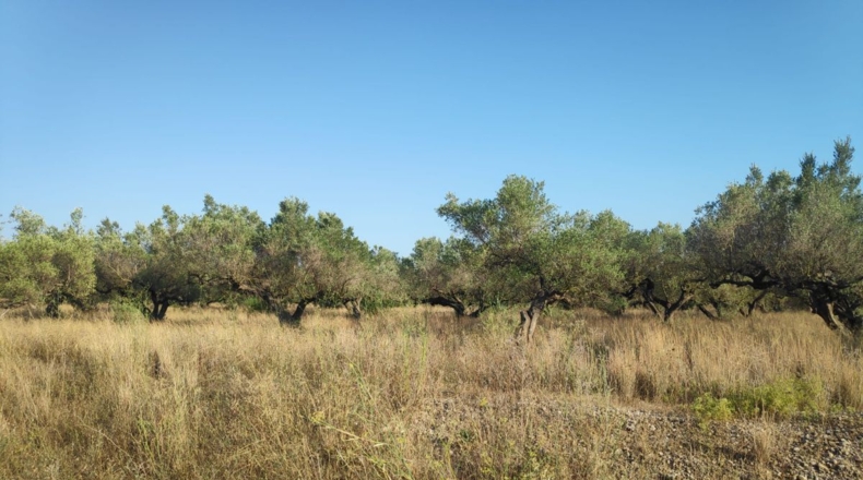 Tarragona - Roquetes - 29385m2