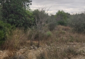 Terreno no urbanizable en venta en Roquetes ref: TR57274 foto