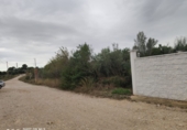 Terreno no urbanizable en venta en Roquetes ref: TR57274 foto
