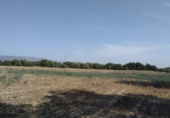 Finca rústica en venta en Tortosa ref: TR63259 foto