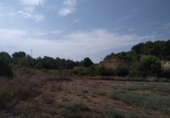 Finca rústica en venta en Tortosa ref: TR63259 foto