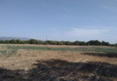 Finca rústica en venta en Tortosa ref: TR63259 foto