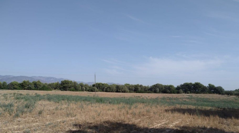 Tarragona - Tortosa - 189470m2