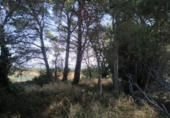 Finca rústica en venta en Tortosa ref: TR63259 foto