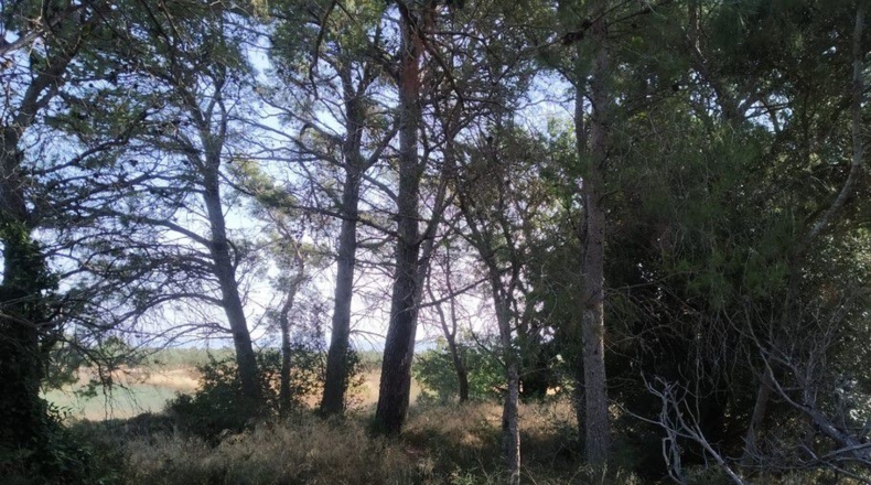 Tarragona - Tortosa - 189470m2